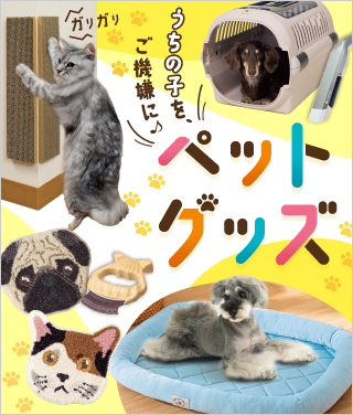 ���W �y�b�g�O�b�Y