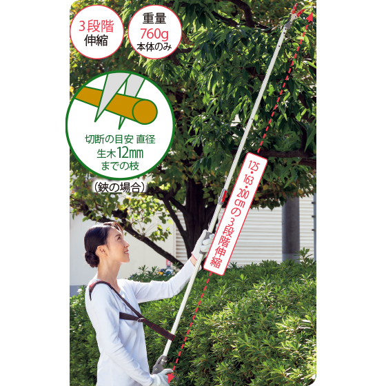 伸縮式高枝鋏　替刃付セット Amazon.co.jp: アルスコーポレーション 伸縮式高枝鋏 専用鋸 替