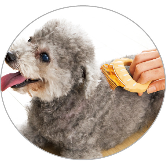 ピロコーム｜くらしと生協