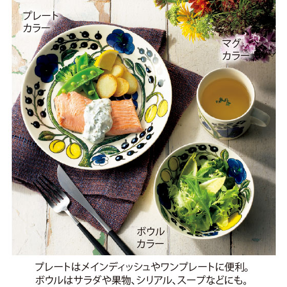 アラビア パラティッシシリーズ｜くらしと生協