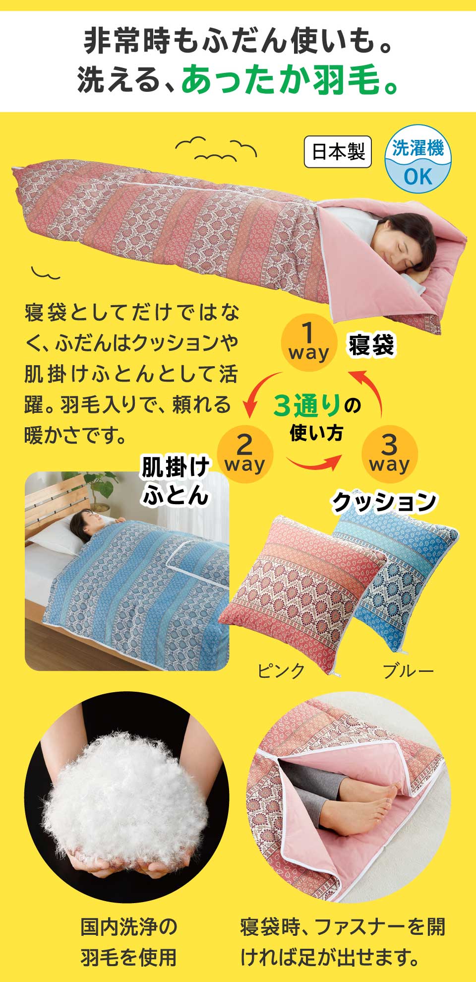 �N�b�V�����ɂ��Ȃ�H�ѐQ�܁iHO�j