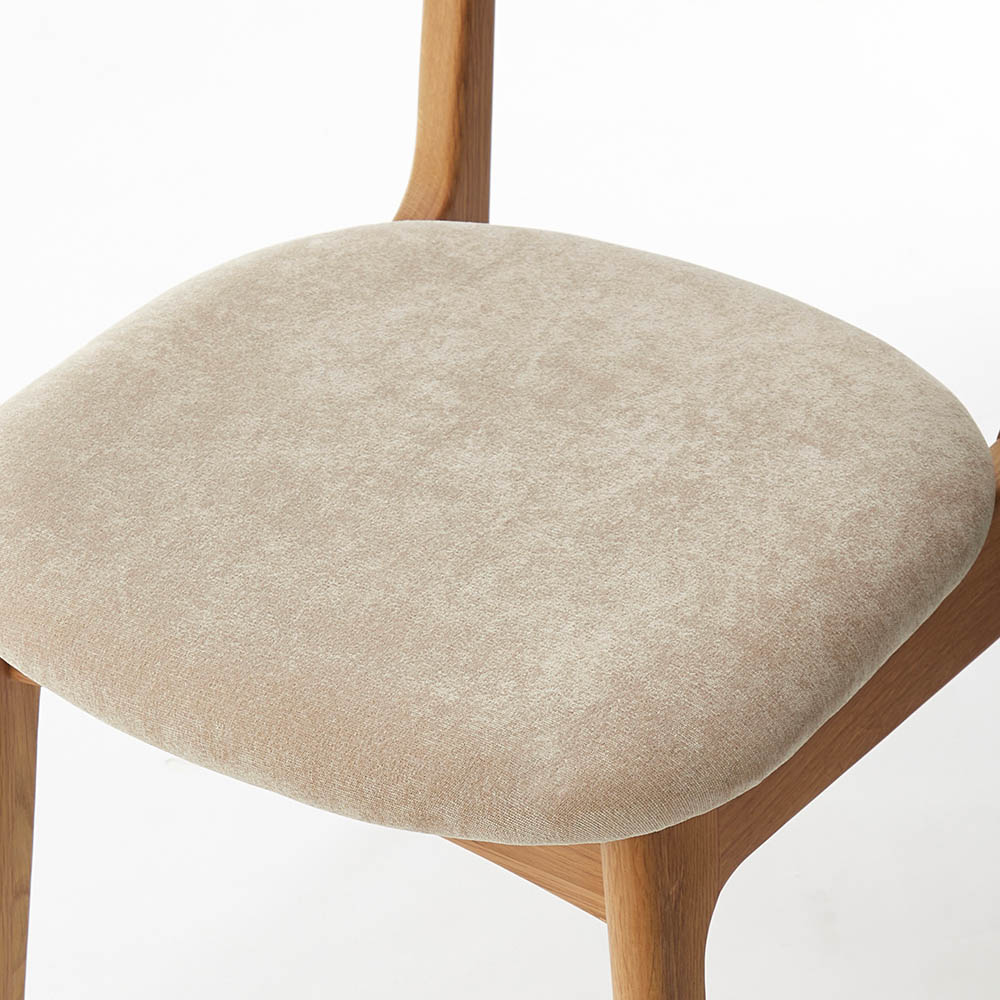 VR؃I[Nނ̃_CjO`FAʃAbv