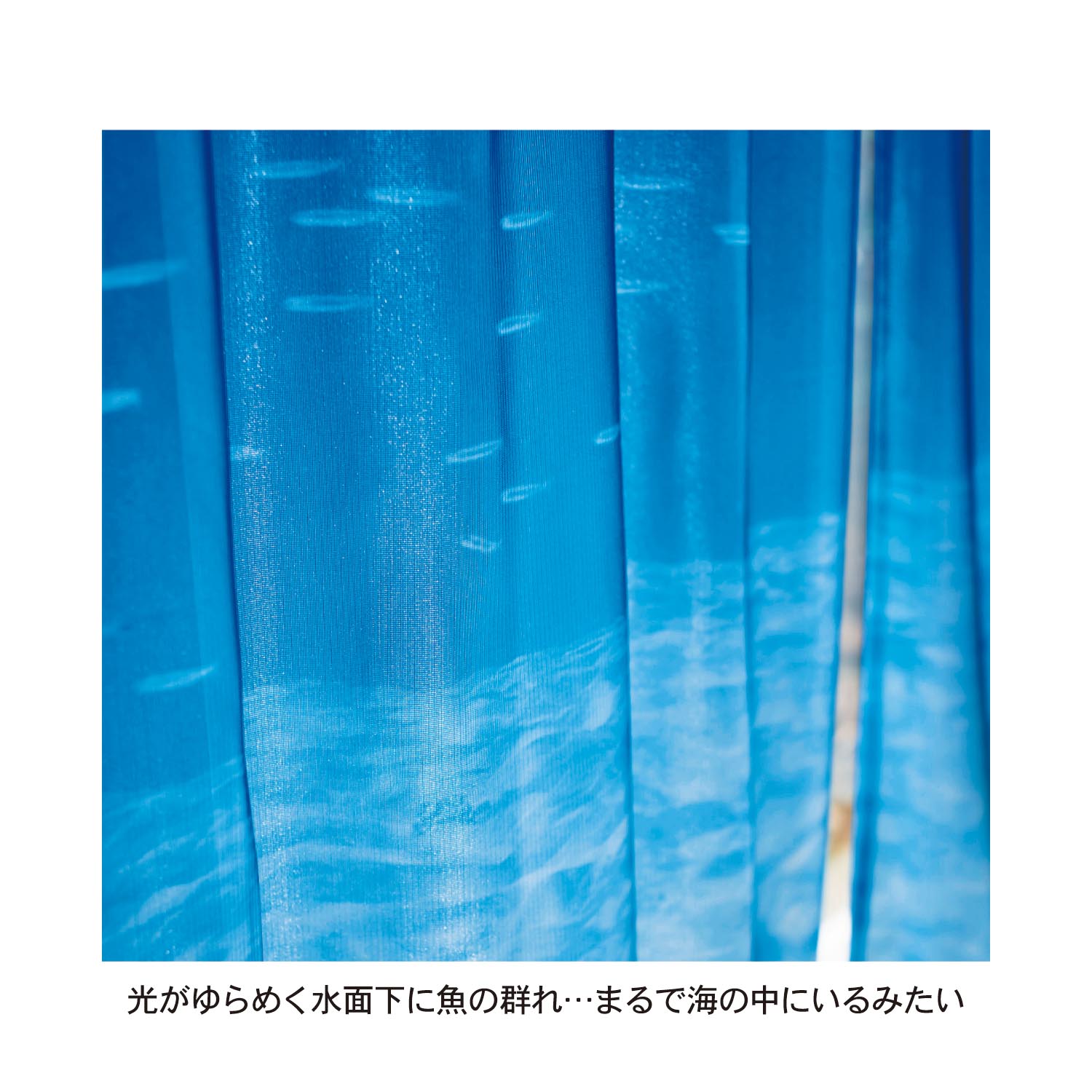 �C�̒����f�����t�u�J�b�g�E���[�X�J�[�e���i�Q���g�j�C�̒��C���[�W