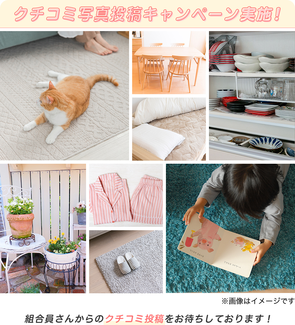 �N�`�R�~�ʐ^���e�L�����y�[�����{�I