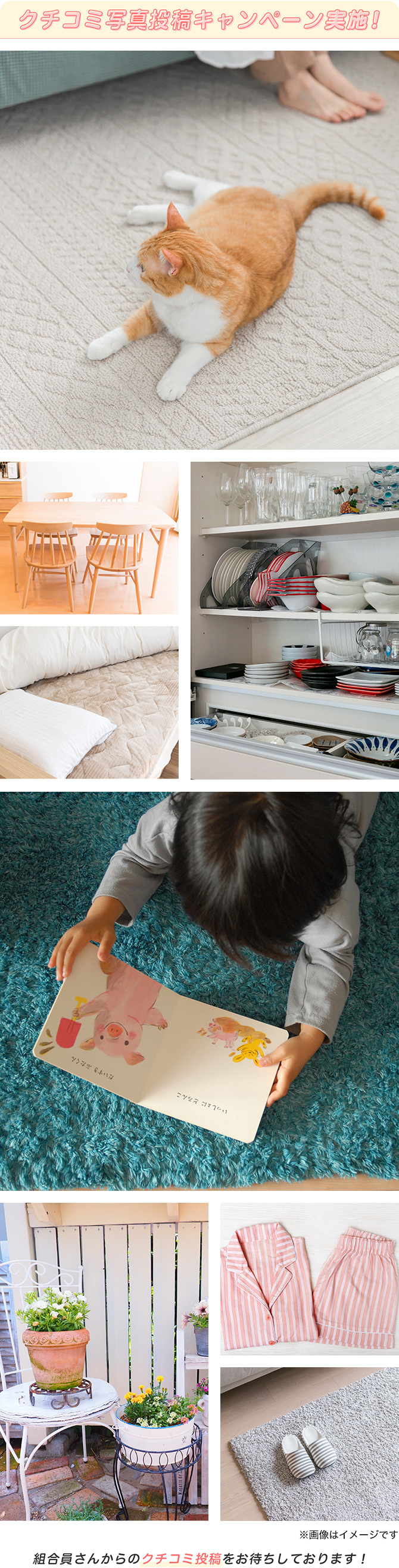 �N�`�R�~�ʐ^���e�L�����y�[�����{�I