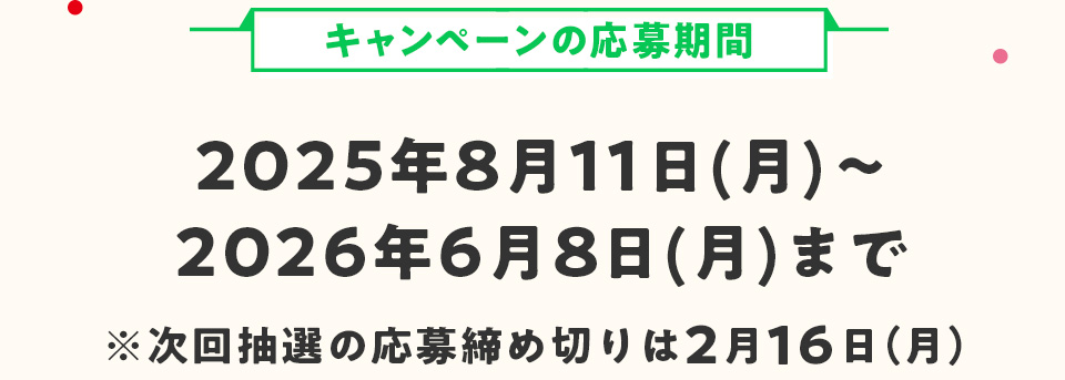 �L�����y�[���̉�����ԁF2025�N8��11��(��)�`2026�N6��8��(��)�܂Ł����񒊑I�̉�����ߐ؂��9��1��(��)
